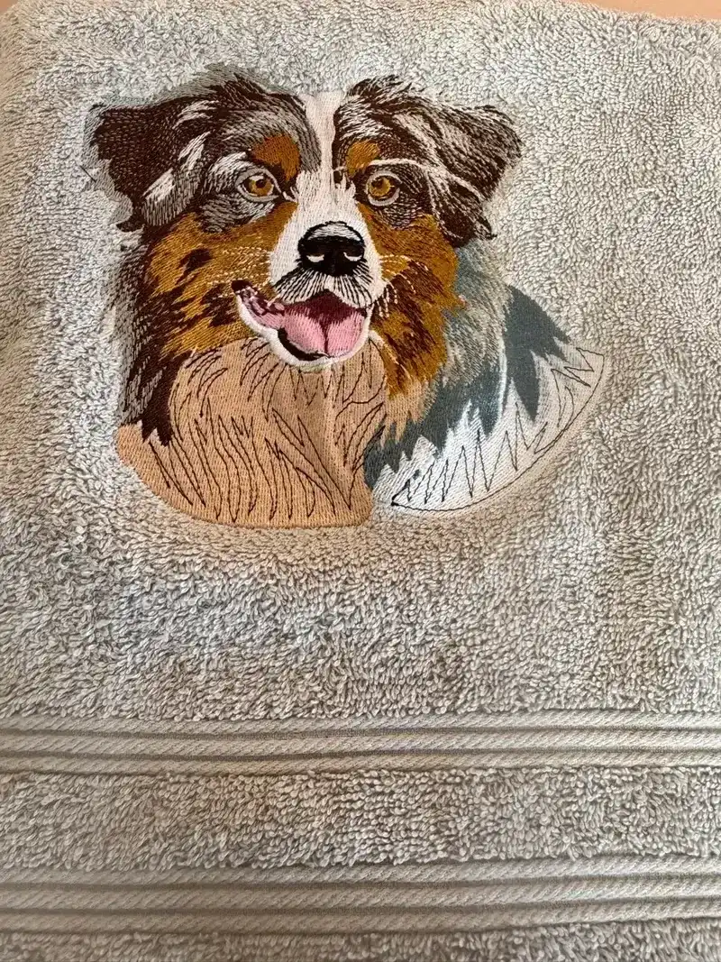 Portraits Chiens